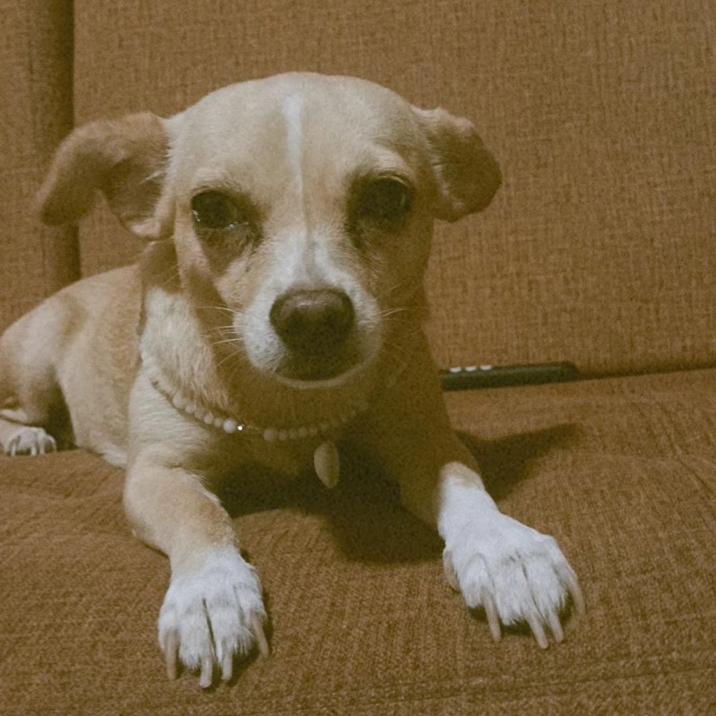 Foto de Mia