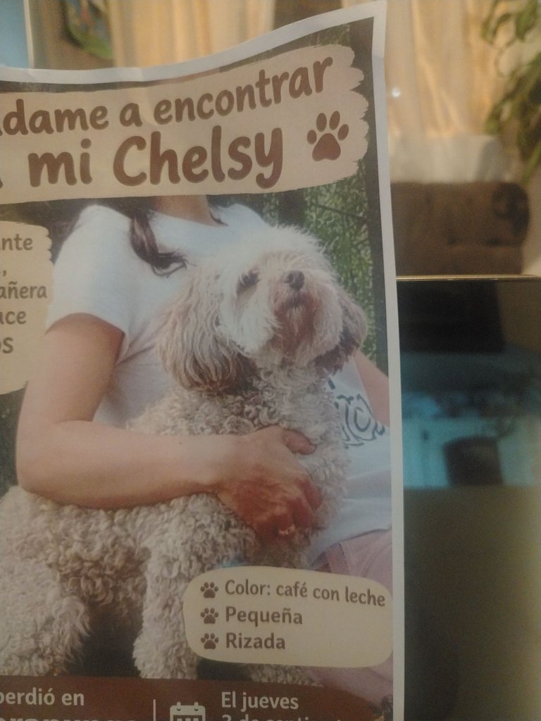Foto de Chelsy